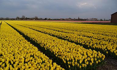 c7d994636932088313fcbf333aae06c9